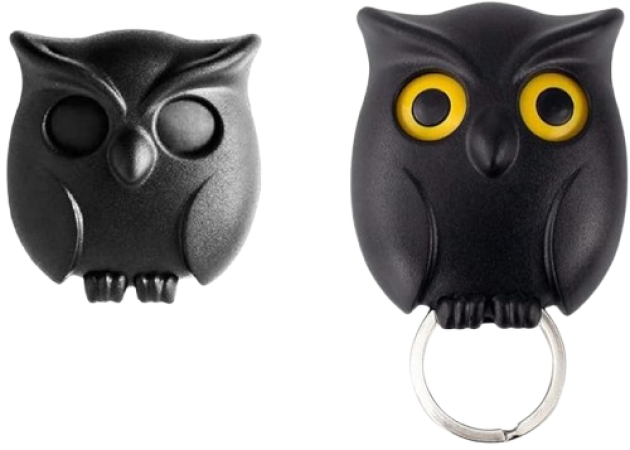 Magnetic Owl Key Holder
